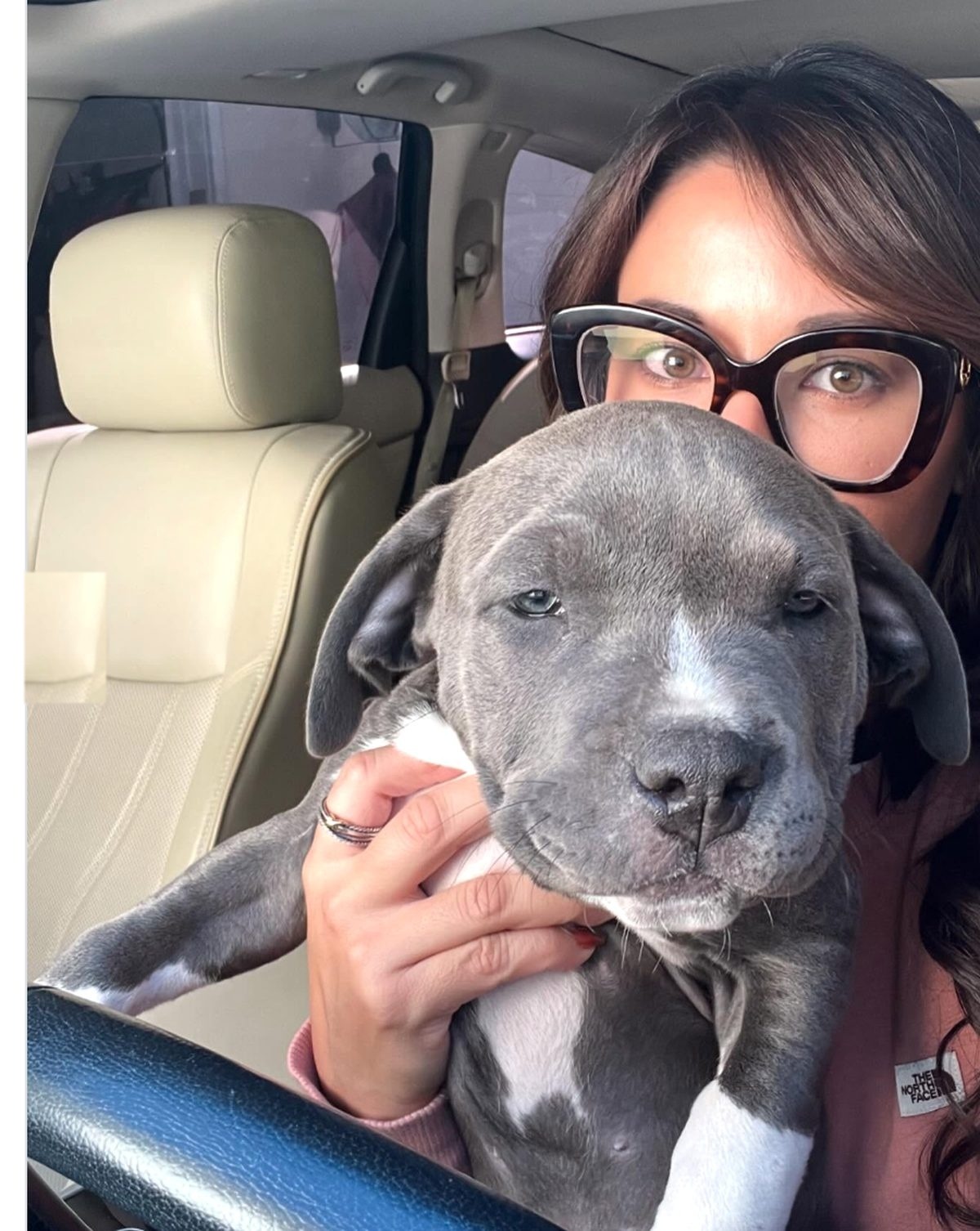 Hermy as a puppy in the car